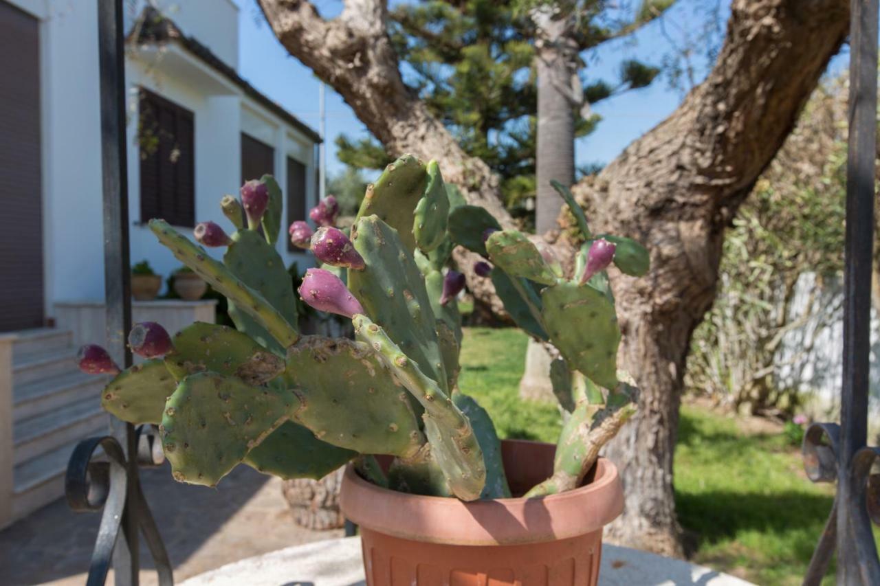 Villa Milu Torre San Giovanni Ugento Zewnętrze zdjęcie